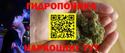 гидра Ярославль