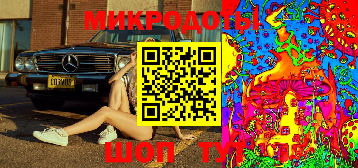 Псилоцибиновые грибы Psilocybe Добрянка