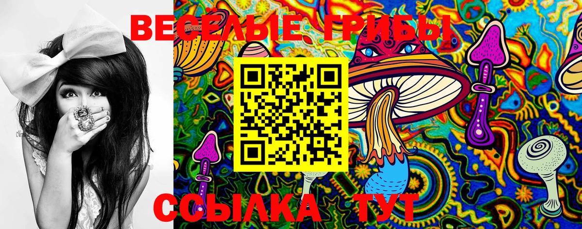Добрянка  Галлюциногенные грибы Psilocybine cubensis  Вход с VPN 